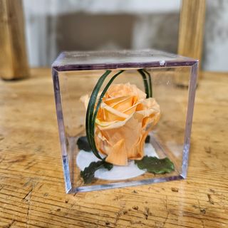 Cubo con rosa ETERNA MELOCOTON