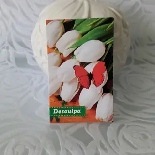 Cartão Desculpa
