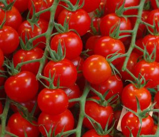 Pomodoro ciliegino 500 g
