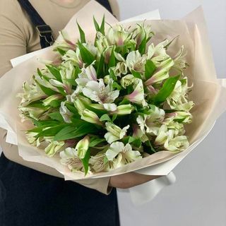 Букет із 15 білих альстромерій