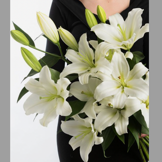 თეთრი ლილია (5 ტოტი)