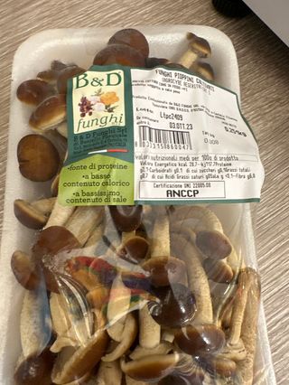 Funghi pioppini confezione 