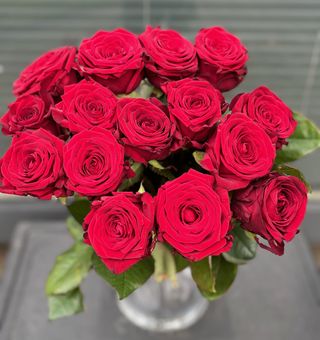 Czerwone róże, 15 sztuk