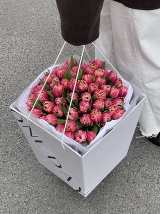 Мелодія Тепла