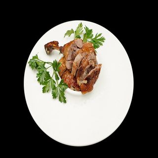 231 Anatra pechinese