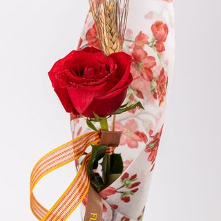 Rosa Vermella Amb Gasa