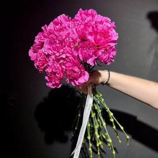 Ramo de 21 Claveles Rosado Extra 