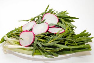 მწვანილის ასორტი