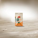 სოუსი ცეზარი