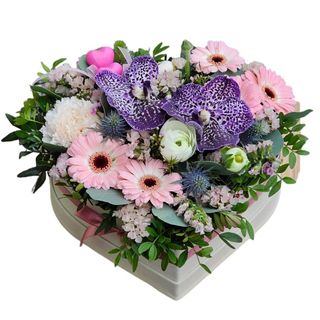 Kremowy Flowerbox ze Storczykiem 