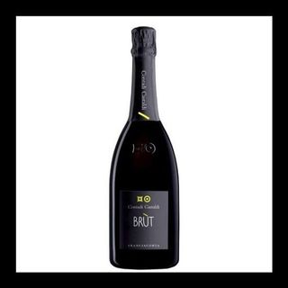 Contadi Castaldi Brut