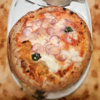 Cipolla