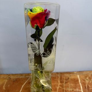 ROSA ETERNA CON TALLO COLOR ARCOIRIS