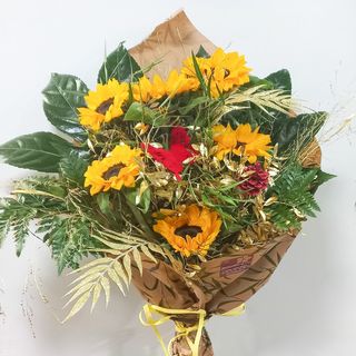 Girasoles navideños