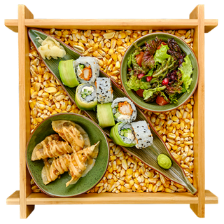 ГЬОЗА БЕНТО