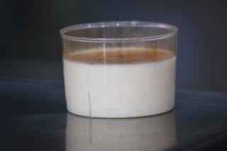 Vasito De Arroz Con Leche (200 Ml.)