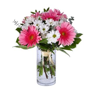 Margaridas e Gerberas