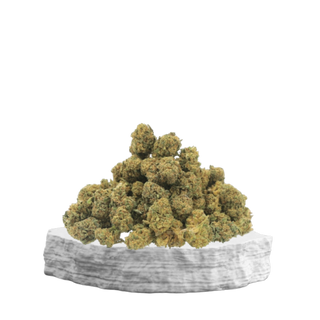 Popcorn 20Gr.