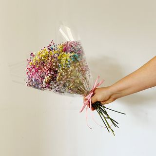 Ramo de Paniculata de Colores "Rainbow"