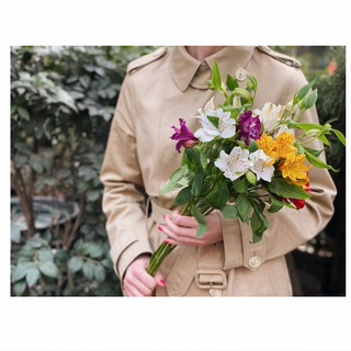 ფერადი ალსტრომერია 10 ტოტი