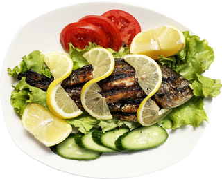 Ципура на скара