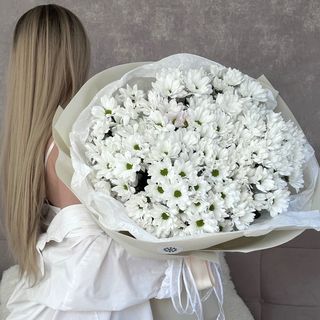 Bukiet białych margaretek 