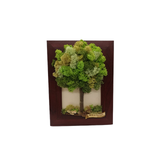 Aranjament licheni, cod ARL45