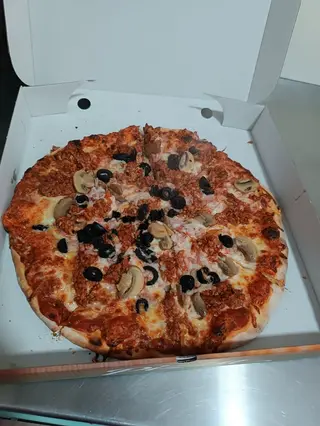 Bolonhesa