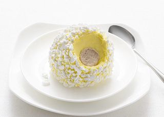 Tartufo al pistacchio di Sicilia 100