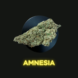 Amnesia 5Gr