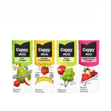 Сік CAPPY в асортименті 0,2 л