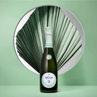 Franciacorta Satèn Berlucchi '61