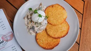 Palačinke od krompira sa sosom od pečuraka