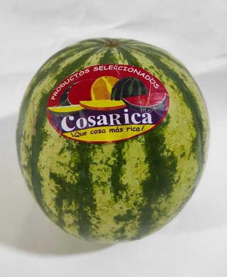 Pastèque Import - kg