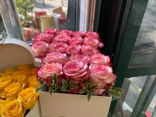 Scatola rose rosa