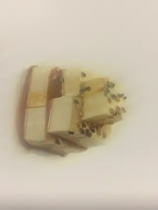 23.Tofu fresco