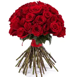 50 ROSAS COLOR ROJO