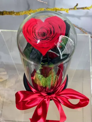 Crio Heart