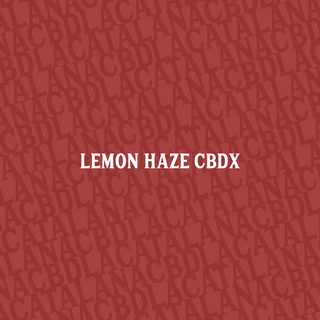 LEMON HAZE CBDX