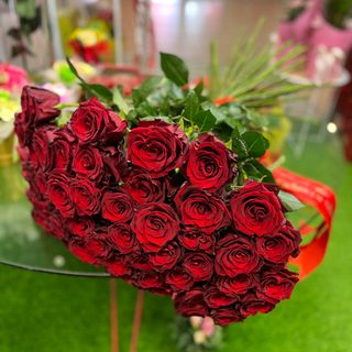 Czerwona róża  (50/60 sm)