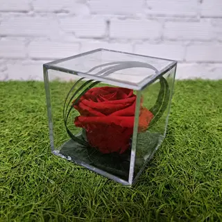 rosa en metraquilato roja