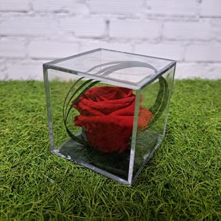 rosa en metraquilato roja