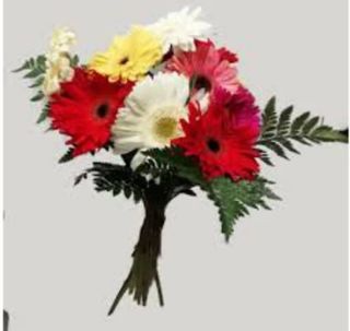 Mazzo di gerbera grande 