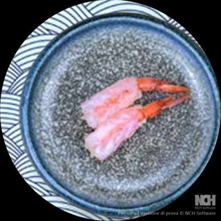 Nigiri Amaebi