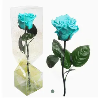 Rosa preservada azul turquesa de tallo corto