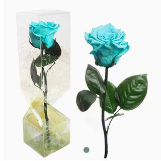 Rosa preservada azul turquesa de tallo corto