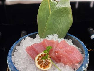 66 Sashimi Tonno