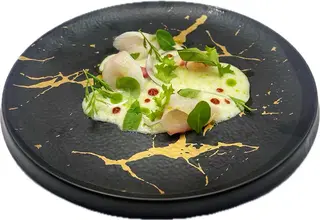Ricciola cocco su