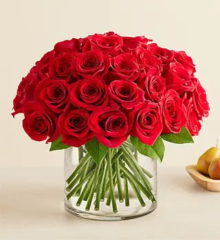 Rose 19