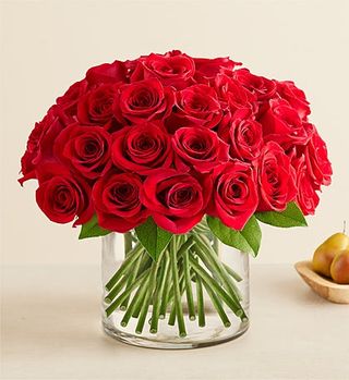 Rose 19